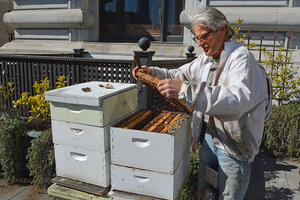 In San Francisco, hotels welcome bees as honored guests